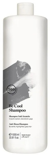 360 HAIR PROFESSIONAL Be Cool шампунь оттеночный 1000 мл