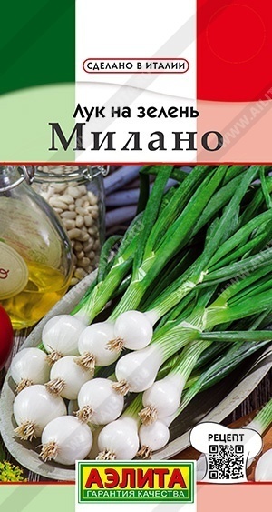 Аэлита лук Милано