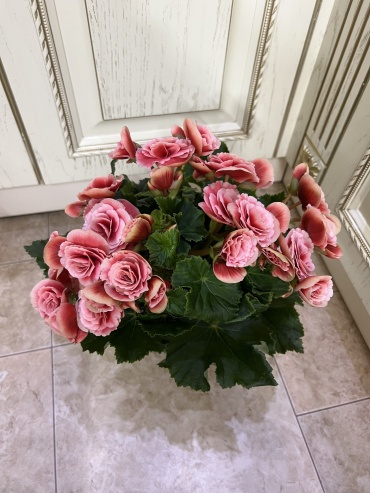 Фото 3