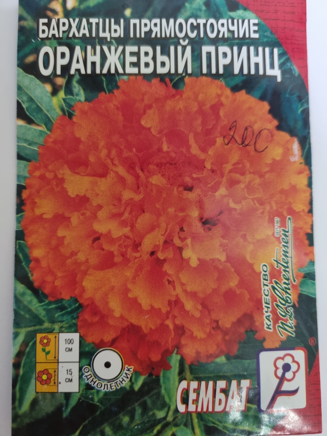 Сембат бархатцы Оранжевый принц