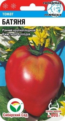 Сибирский сад помидор Батяня