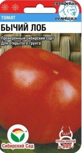 Сибирский сад томат Бычий лоб