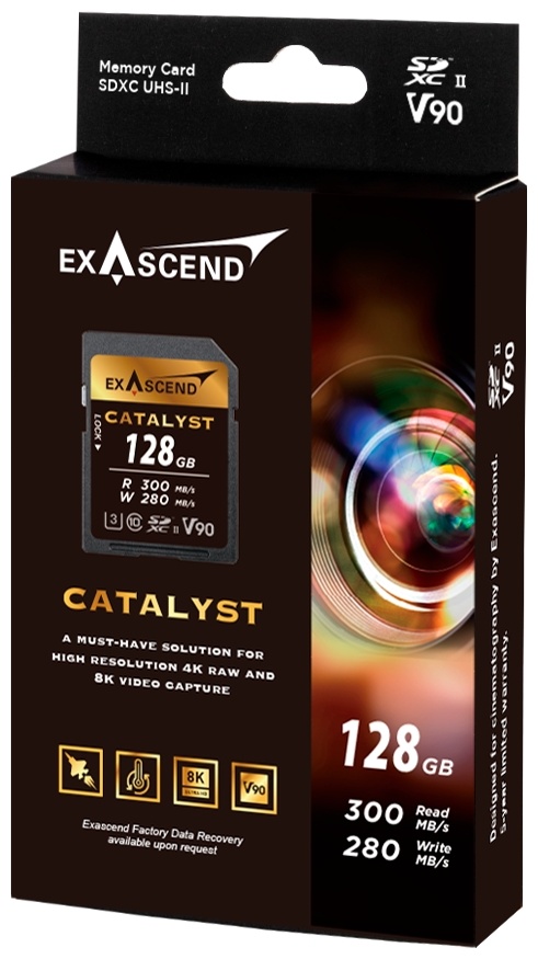 Карта памяти Exascend EX128GSDU2 128 Гб