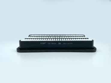 BIG FILTER воздушный фильтр GB-9665