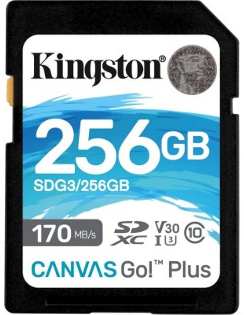 Карта памяти Kingston SDG3/256GB 256 Gb