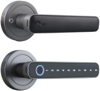 Tuya электронный WF-F4 МП0008