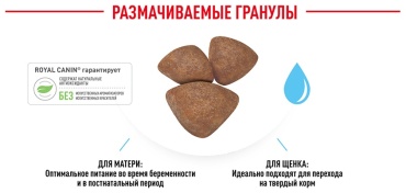 Royal Canin Mini Starter Mother & Babydog для щенков, беременных и кормящих мелких пород 1 кг