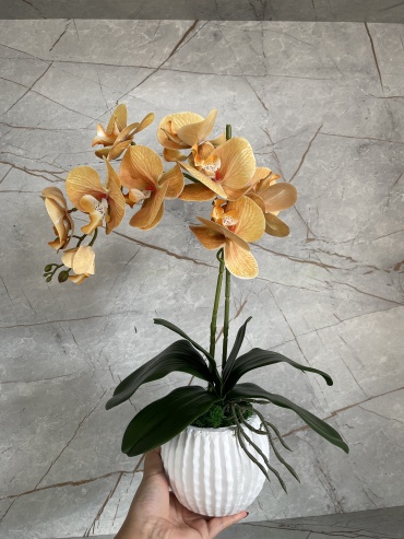 Фото 6