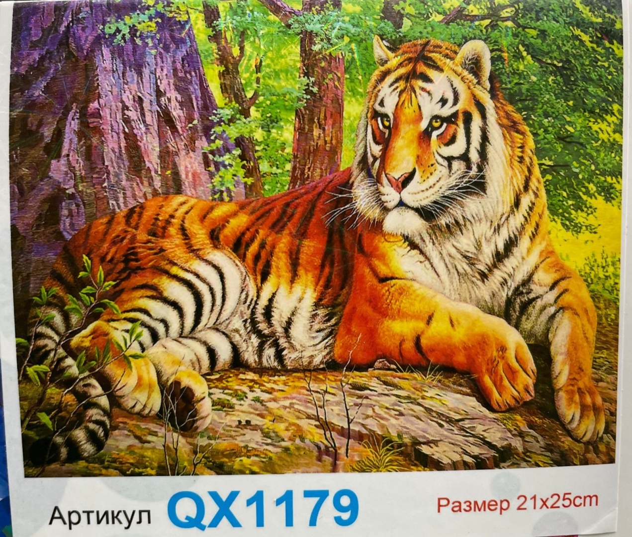 Купить Алмазная мозаика Artist Художник QX1179 21 см x 25 см в Алматы ...