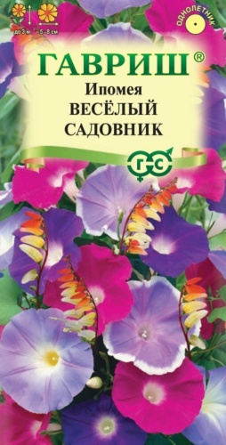 Гавриш ипомея Веселый садовник