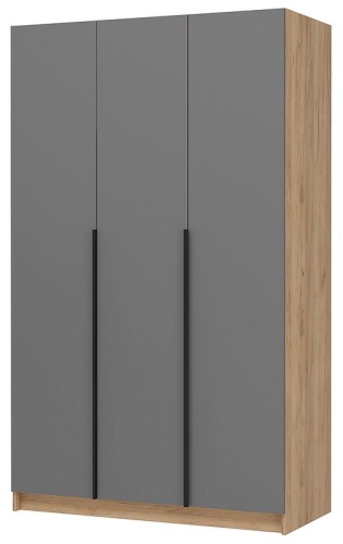 Распашной шкаф Стендмебель Лион, 120x200х55 см, серый, золотой