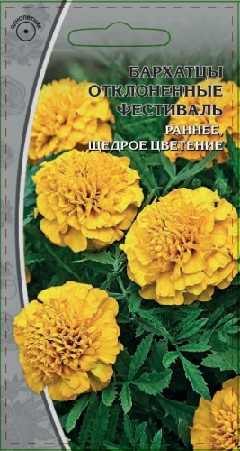 Поиск бархатцы отклоненные фестиваль