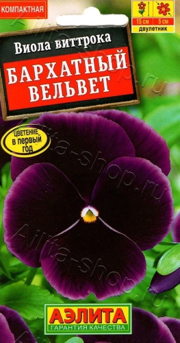 Аэлита Виола Бархатный вельвет