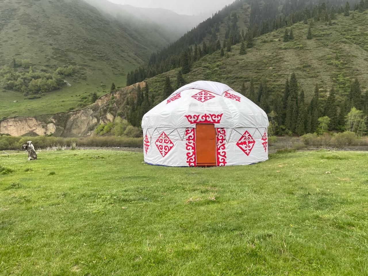 Юрта Jailau YOMR IPK123-S280, металл