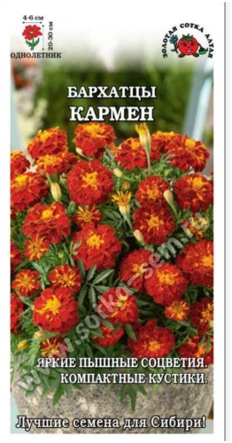 Золотая сотка Алтая бархатцы Кармен