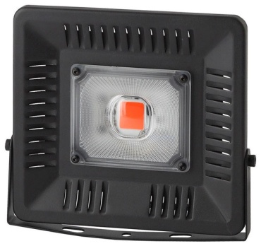 ЭРА FITO-50W-LED