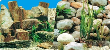 Nature 9023/9025 (50)