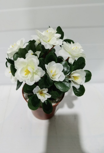 Фото 2