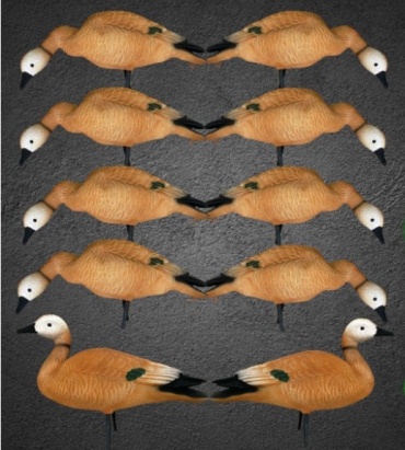 OscarDecoys Elite 3D Ruddy Duck утка