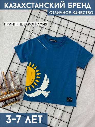 Футболка KOZ timesin синий