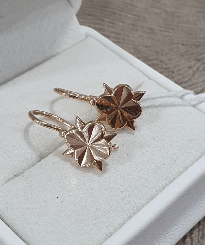 Серьги Briller 098556778BR вес 3.23 г золото, без вставок