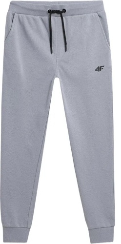 Спортивные брюки 4F голубой
