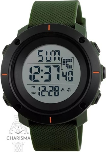 Кварцевые SKMEI 1213AG пластик