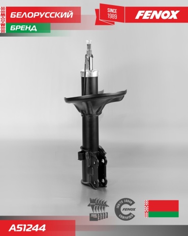 FENOX передний A51244 1 шт