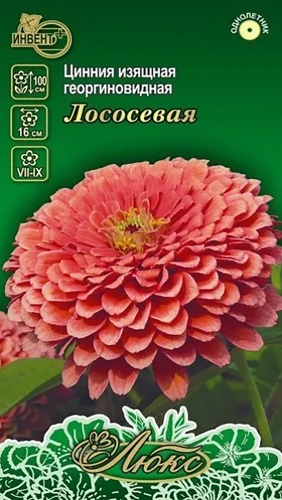 ИНВЕНТ+ цинния Георгиновидная Лососевая