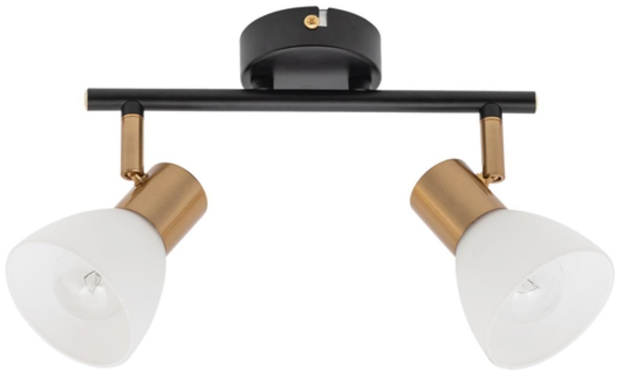 Arte Lamp спот Falena A3117PL-2BK