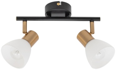 Arte Lamp спот Falena A3117PL-2BK