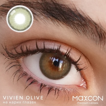 Контактные линзы MAXCON Vivien Olive -5 кривизна 8.6 на три месяца 2 шт