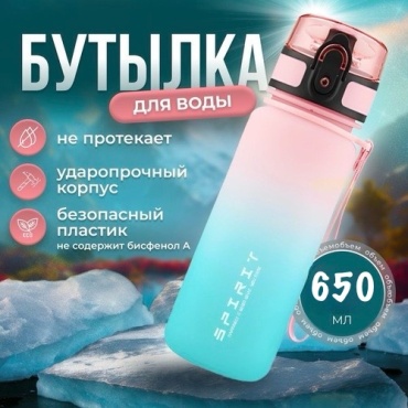 Бутылка Spirit Fitness 201654 650 мл мультиколор