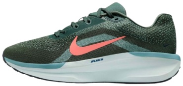 Кроссовки Nike Air winflo 11 зеленый