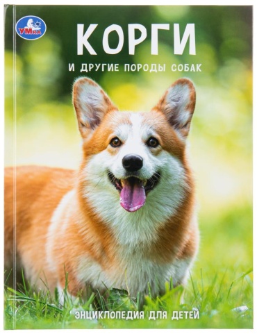Козырь: Корги и другие породы собак