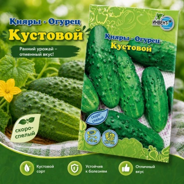 ИНВЕНТ+ огурец кустовой
