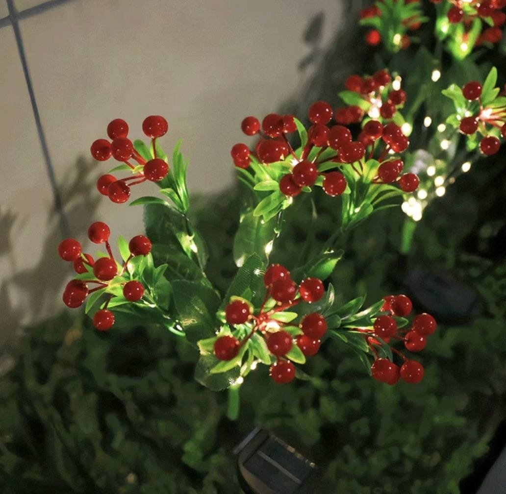 Фото 2