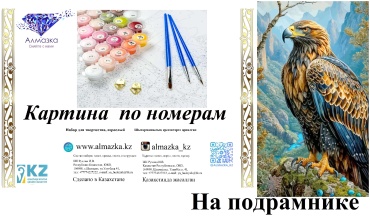 Картина по номерам Алмазка Беркут холст на подрамнике 40x50 см