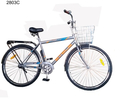 Велосипед Stels C03 2025 12 дюймов мультиколор