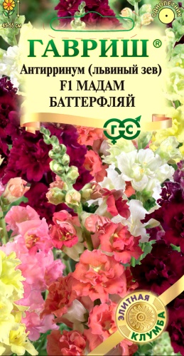 Гавриш антирринум (львиный зев) F1 МАДАМ БАТТЕРФЛЯЙ смесь