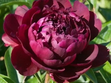 Фото 2
