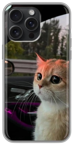 Чехол BAIKO для Apple iPhone 13 Pro рисунок