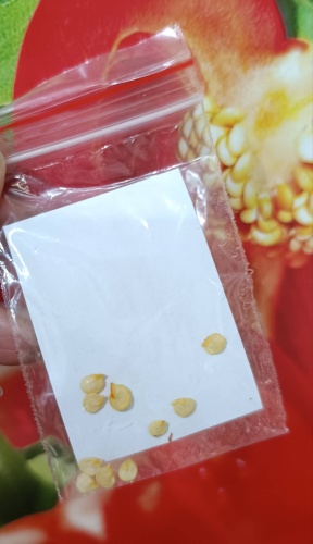 Фото 2
