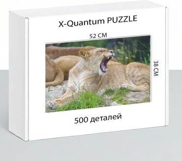 X-Quantum puzzle_edt3rxxtuz классический 500 деталей