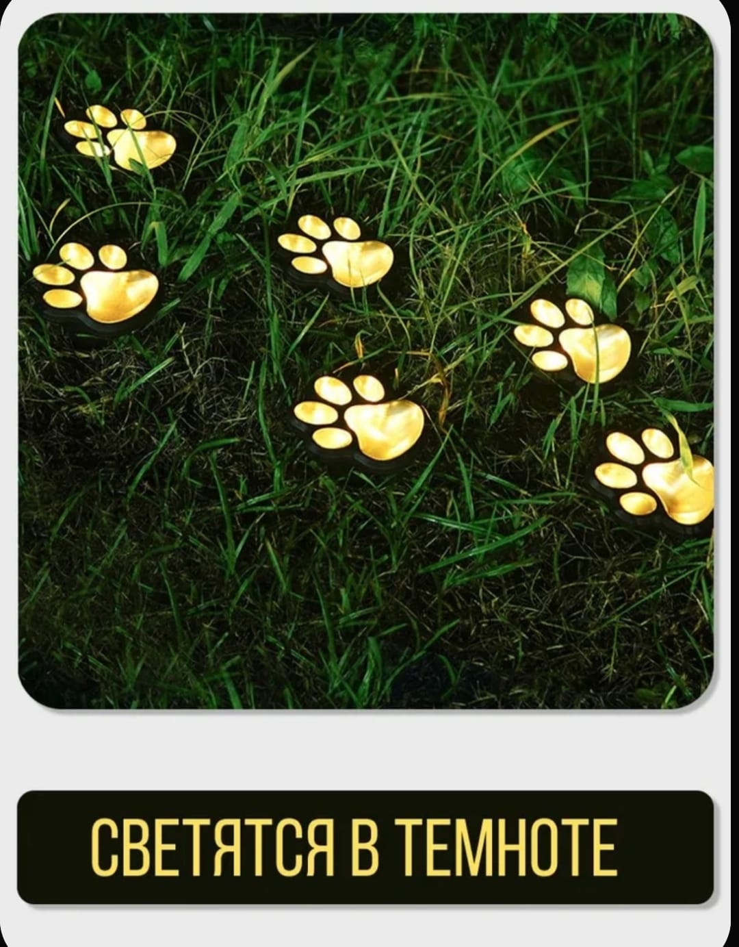 Фото 3
