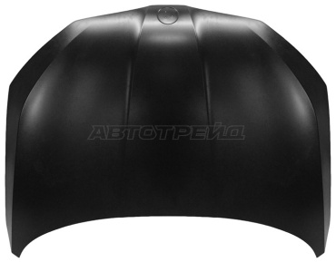 SAT капот ST-38-0008 для Skoda Rapid 2020
