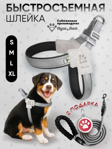 Шлейка для прогулки M серый, черный