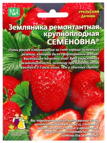 Уральский дачник земляника «Семёновна»