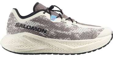 Кроссовки Salomon Aero Glide 4 Grvl бежевый