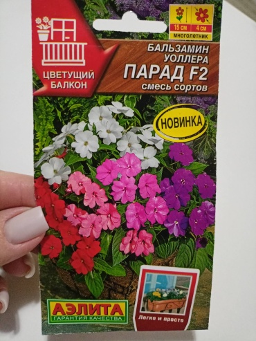 Аэлита бальзамин Парад F2